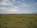 Scenery in Lake Manyara NP